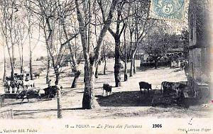 FOUKA - PLACE DES FONTAINES - 1906